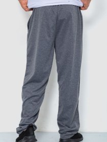 Штаны спортивные Ager модель У-1129024::000000072 Фото