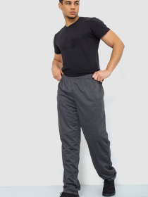 Штаны спортивные Ager модель У-1129024::000000087 Фото