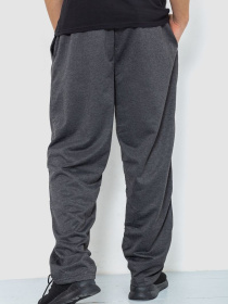 Спортивні штани Ager модель У-1129024::000000087 Спортивні штани Ager модель У-1129024::000000087 Фото