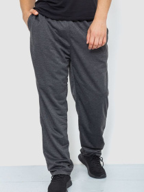 Спортивні штани Ager модель У-1129024::000000087 Спортивні штани Ager модель У-1129024::000000087 Фото