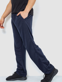 Спортивні штани Ager модель У-1129024::000000090 Фото