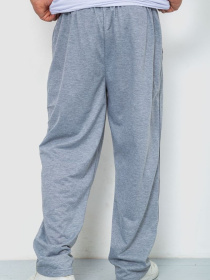 Спортивні штани Ager модель У-1128912::000000069 Фото