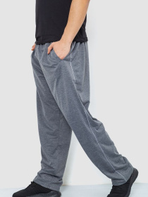 Спортивні штани Ager модель У-1128912::000000072 Фото