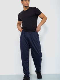 Спортивні штани Ager модель У-1128912::000000090 Фото