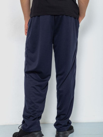 Спортивні штани Ager модель У-1128912::000000090 Фото