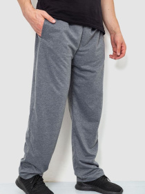 Спортивні штани Ager модель У-1128171::000000072 Фото