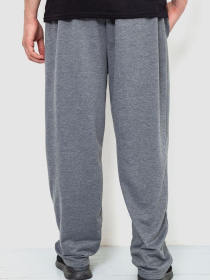 Спортивні штани Ager модель У-1128171::000000072 Фото