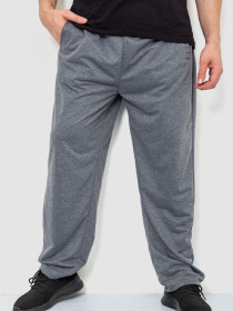 Спортивні штани Ager модель У-1128171::000000072 Фото