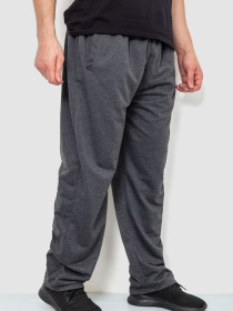 Штаны спортивные Ager модель У-1128171::000000087 Фото