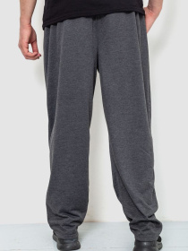 Штаны спортивные Ager модель У-1128171::000000087 Фото