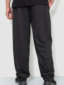 Спортивні штани Ager модель У-1128171::000000096 Фото