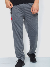 Штаны спортивные Ager модель У-1128997::000000072 Фото