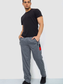 Спортивні штани Ager модель У-1128997::000000072 Фото