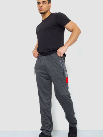 Штаны спортивные Ager модель У-1128997::000000087 Фото