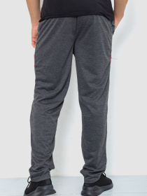 Спортивні штани Ager модель У-1128997::000000087 Фото