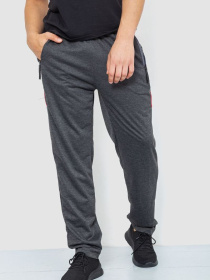 Спортивні штани Ager модель У-1128997::000000087 Фото