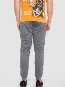 Штаны спортивные Ager модель У-1131138::000000072 Фото