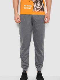 Штаны спортивные Ager модель У-1131138::000000072 Фото