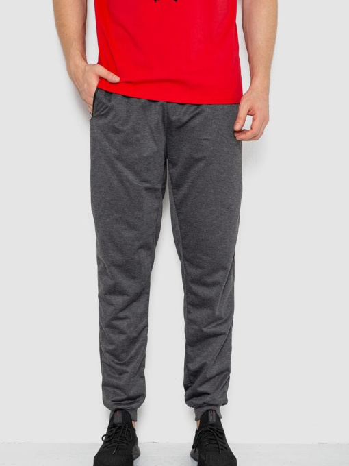 Штаны спортивные Ager модель У-1131138::000000087 Фото