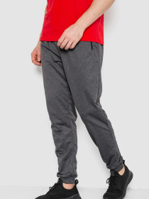 Штаны спортивные Ager модель У-1131138::000000087 Штаны спортивные Ager модель У-1131138::000000087 Фото