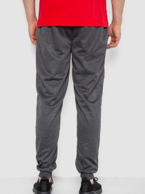 Штаны спортивные Ager модель У-1131138::000000087 Штаны спортивные Ager модель У-1131138::000000087 Фото