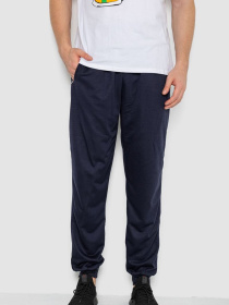 Спортивні штани Ager модель У-1131138::000000090 Фото