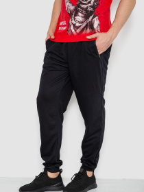 Штаны спортивные Ager модель У-1131138::000000096 Фото