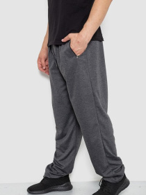 Штаны спортивные Ager модель У-1130022::000000087 Фото