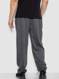 Штаны спортивные Ager модель У-1130022::000000087 Штаны спортивные Ager модель У-1130022::000000087 Фото