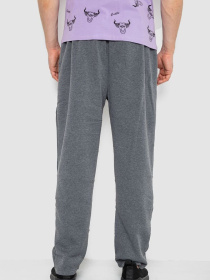 Спортивні штани Ager модель У-1131129::000000072 Фото