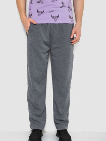 Спортивні штани Ager модель У-1131129::000000072 Фото