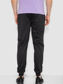 Штаны спортивные Ager модель У-1131141::000000096 Фото