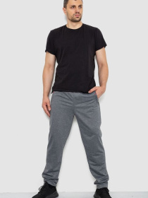 Спортивні штани Ager модель У-1130034::000000072 Фото