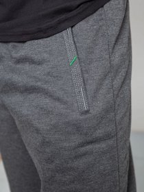 Штаны спортивные Ager модель У-1130034::000000087 Фото