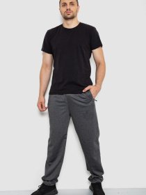 Спортивні штани Ager модель У-1130034::000000087 Фото