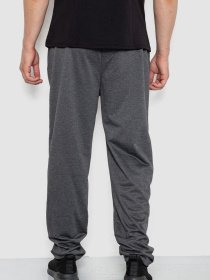 Спортивні штани Ager модель У-1130034::000000087 Фото