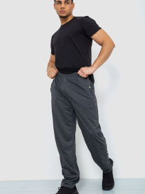 Штаны спортивные Ager модель У-1129023::000000087 Фото