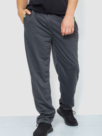 Спортивні штани Ager модель У-1129023::000000087 Фото