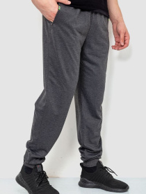 Штаны спортивные Ager модель У-1128170::000000087 Фото