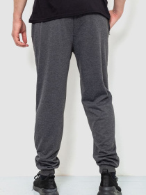 Штаны спортивные Ager модель У-1128170::000000087 Фото