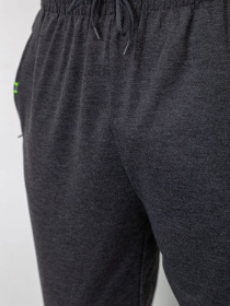 Штаны спортивные Ager модель У-1128170::000000087 Фото