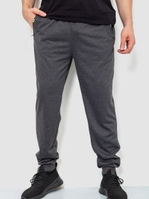 Штаны спортивные Ager модель У-1128170::000000087 Фото