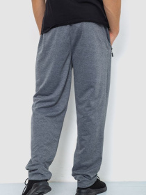 Штаны спортивные Ager модель У-1129025::000000072 Фото