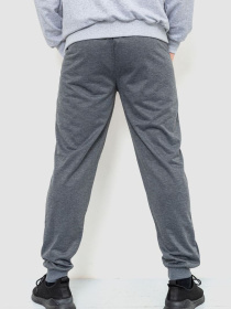 Спортивні штани Ager модель У-1127658::000000072 Фото