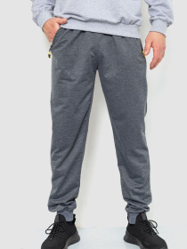 Спортивні штани Ager модель У-1127658::000000072 Фото