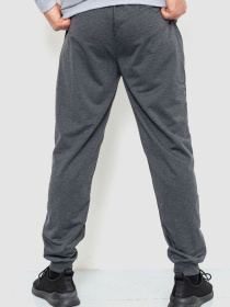 Штаны спортивные Ager модель У-1127658::000000087 Фото