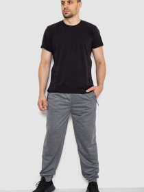 Штаны спортивные Ager модель У-1130033::000000072 Фото