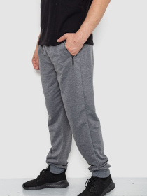 Штаны спортивные Ager модель У-1130033::000000072 Фото