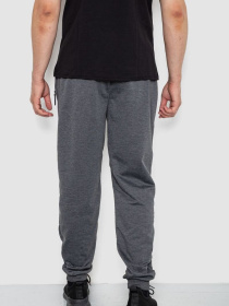 Штаны спортивные Ager модель У-1130033::000000087 Штаны спортивные Ager модель У-1130033::000000087 Фото