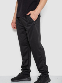 Штаны спортивные Ager модель У-1130033::000000096 Фото